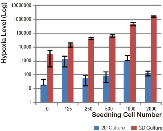 3D-cultured cells is bigger than in 2D-cultured cells