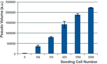 Seeding Cell Number
