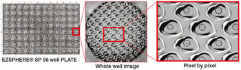 Deep Learning | Analysis of spheroids in microwells (EZSPHERE® plate)