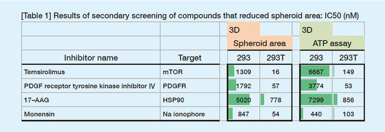 Tumor spheroids | Drug screening | Drug efficacy
